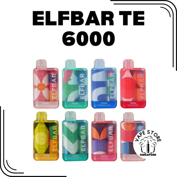 elfbar te 6000 disposable vape-vape shop singapore